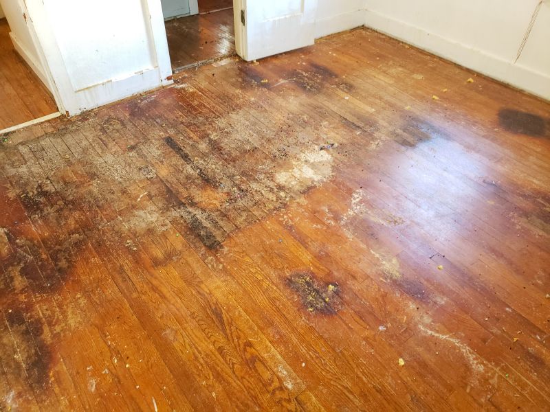 Repaired Hardwood Floor
